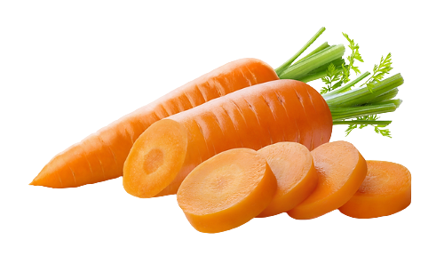 Vietnam Carrot
