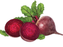 Beetroot