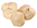 Cassava root