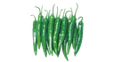 Green hot pepper