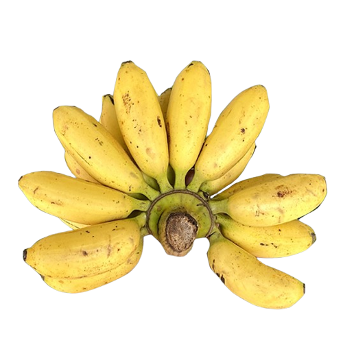 Areca banana