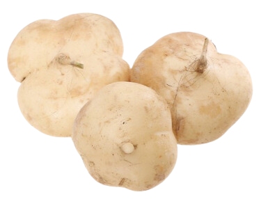 Cassava root