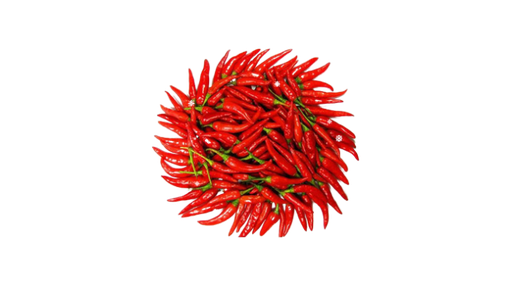 Bird's red chili